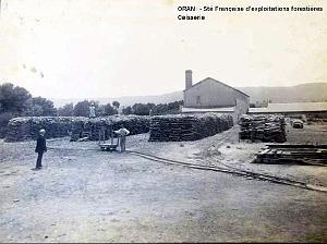 ORAN- 02